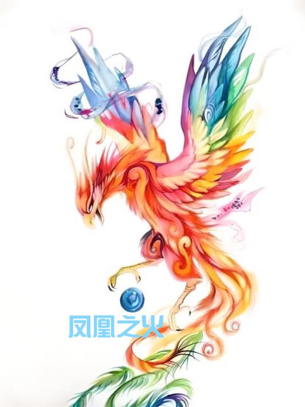 凤凰之星赛事平台
