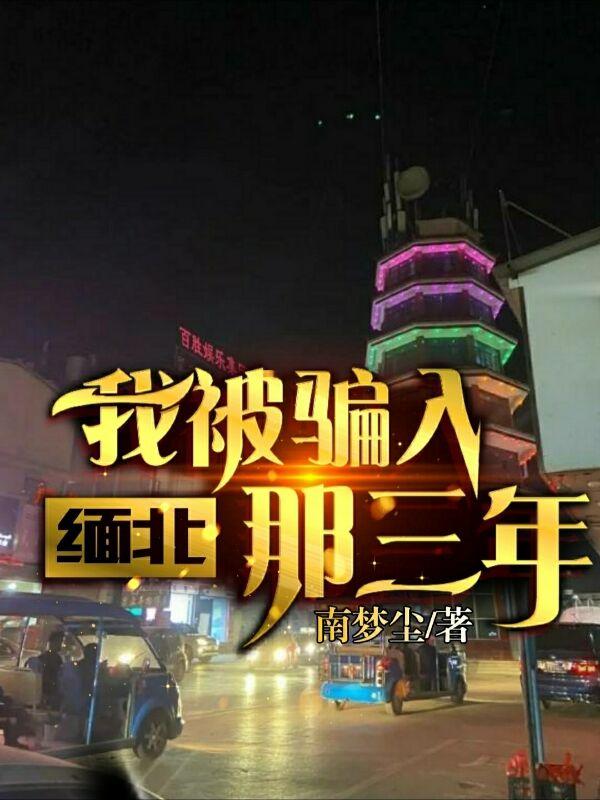 被骗入缅北沙雕动画