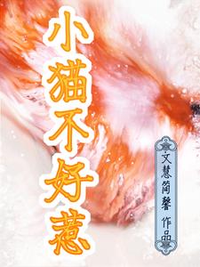 小猫不好好吃饭精神很好