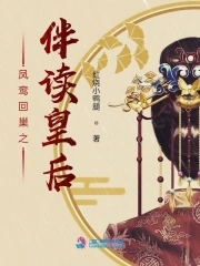 小说 凤回巢