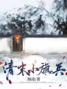 清末小说文笔最好的
