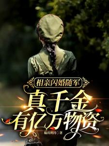 相亲闪婚的全部小说