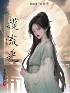揽流光鹊上心头小说全文免费阅读