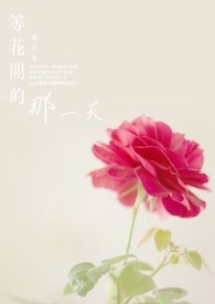 等花开歌词